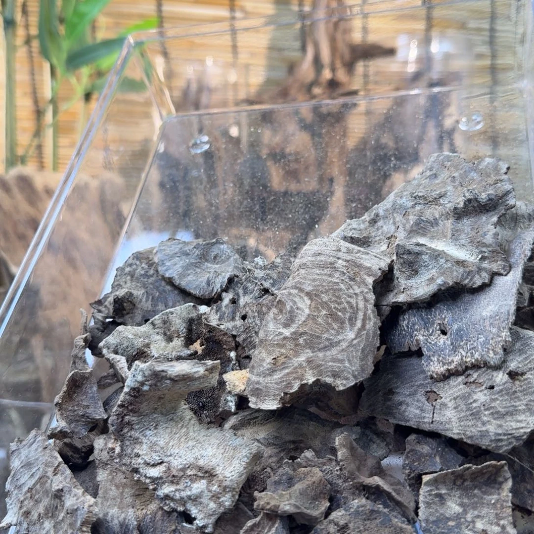 沉香沉香碎屑沉香铁头碎30g