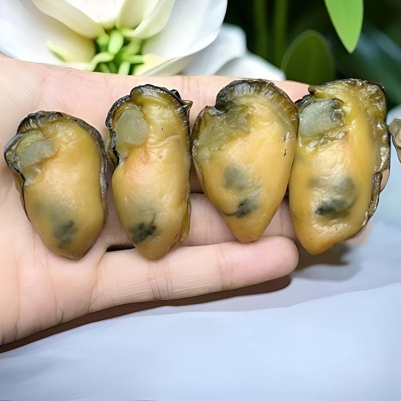 【40头金蚝干】5-6成干 生晒 无抽油 速冻冷链发货 顺丰包邮