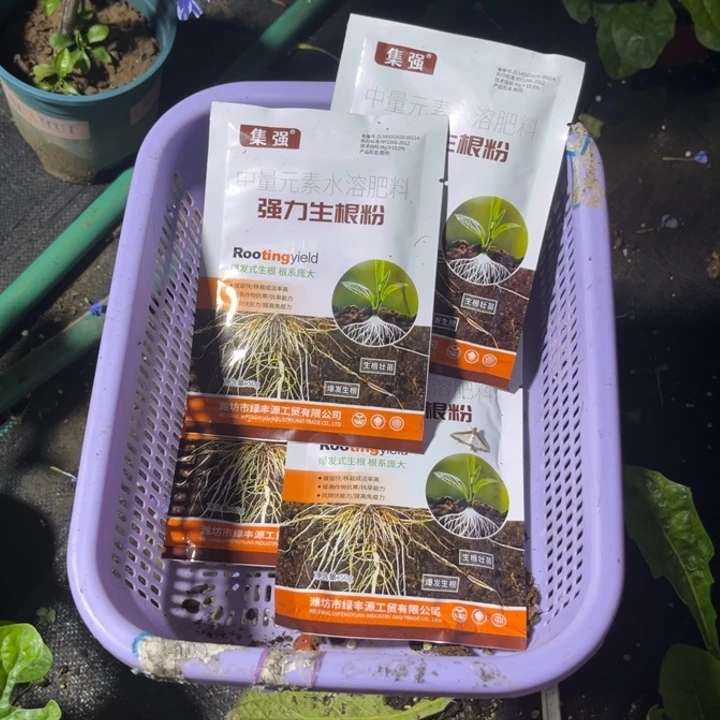 无花朵生根粉4包 ， ，