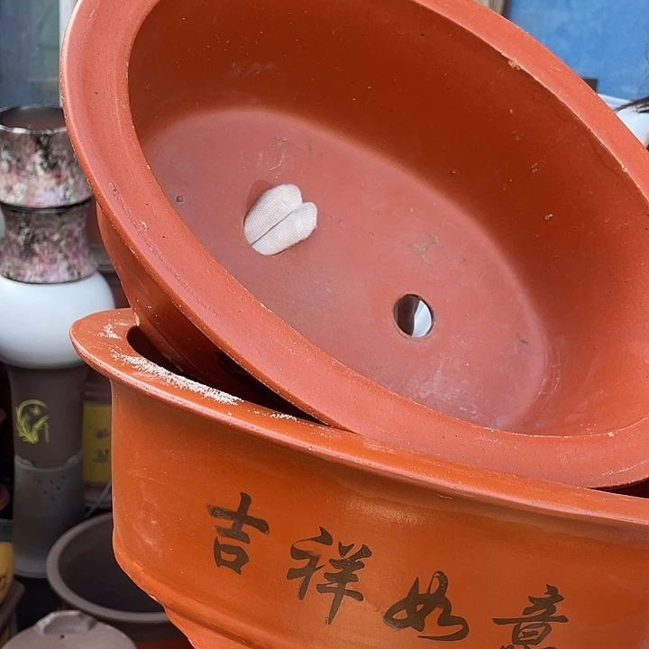 30+30红椭圆花盆紫砂花盆紫砂