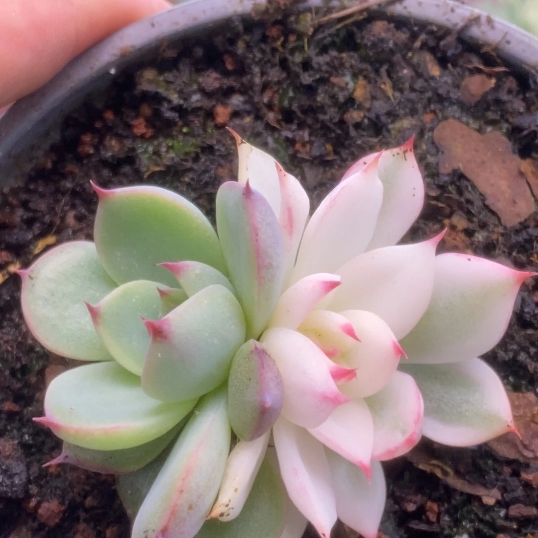 201锦锦锦锦锦锦锦锦锦锦