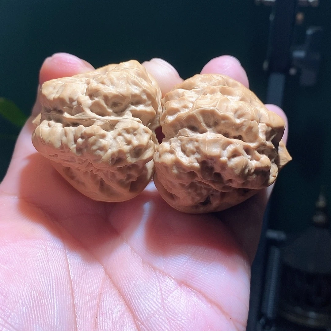 把件文玩核桃46肚三角箭毒蛙