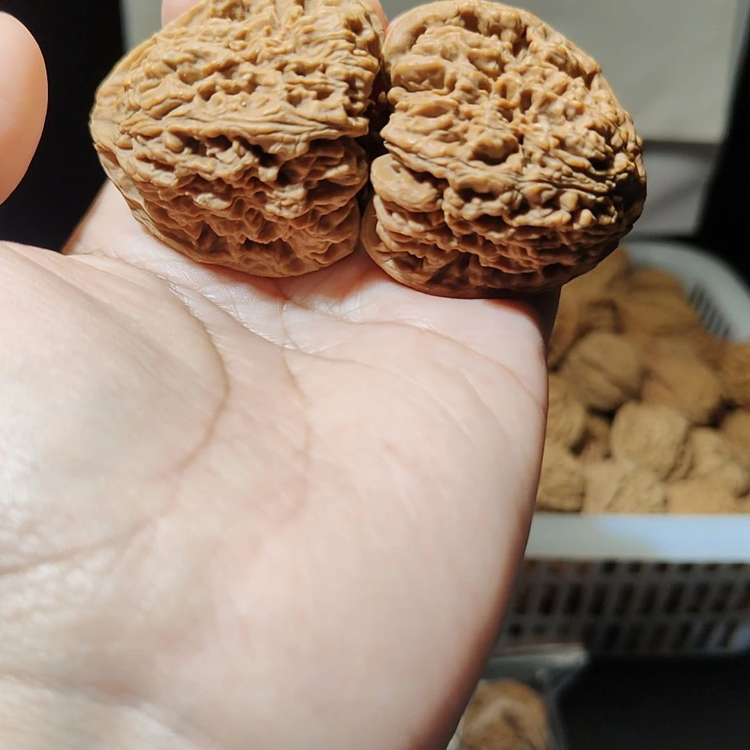 哈***哈南疆石狮子头一物一图