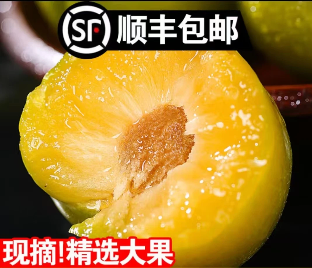 【顺丰空运包邮】贵州六马蜂糖李新鲜现发脆甜脱骨当季水果ms