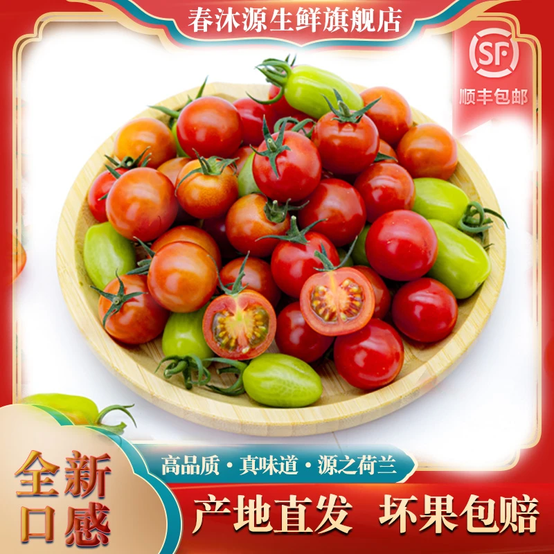 樱桃番茄红桔绿 三色 粒装甜脆多汁顺丰包邮