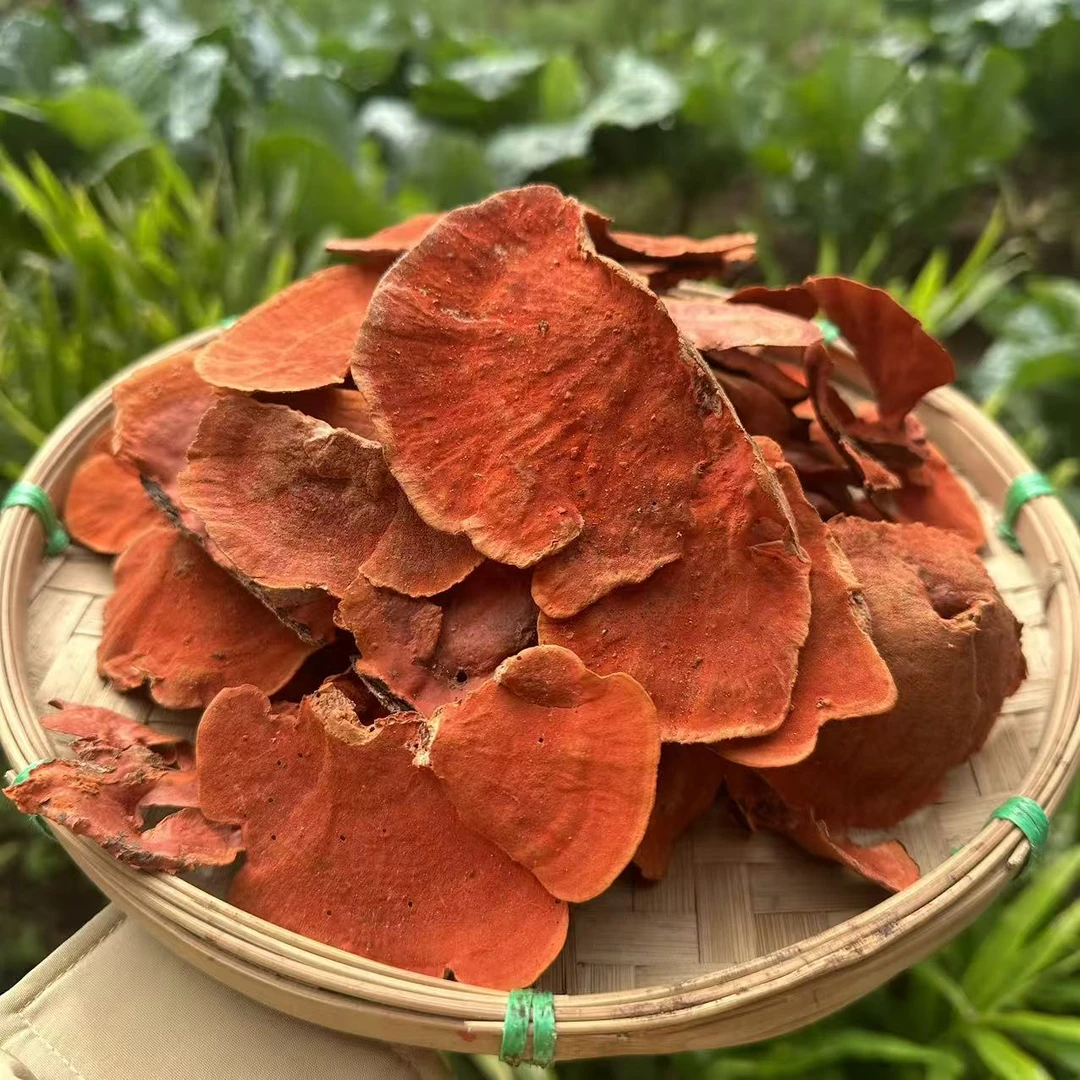 A【牛-樟-芝】净含量100ｇ－500ｇ【阿忠现收现卖】