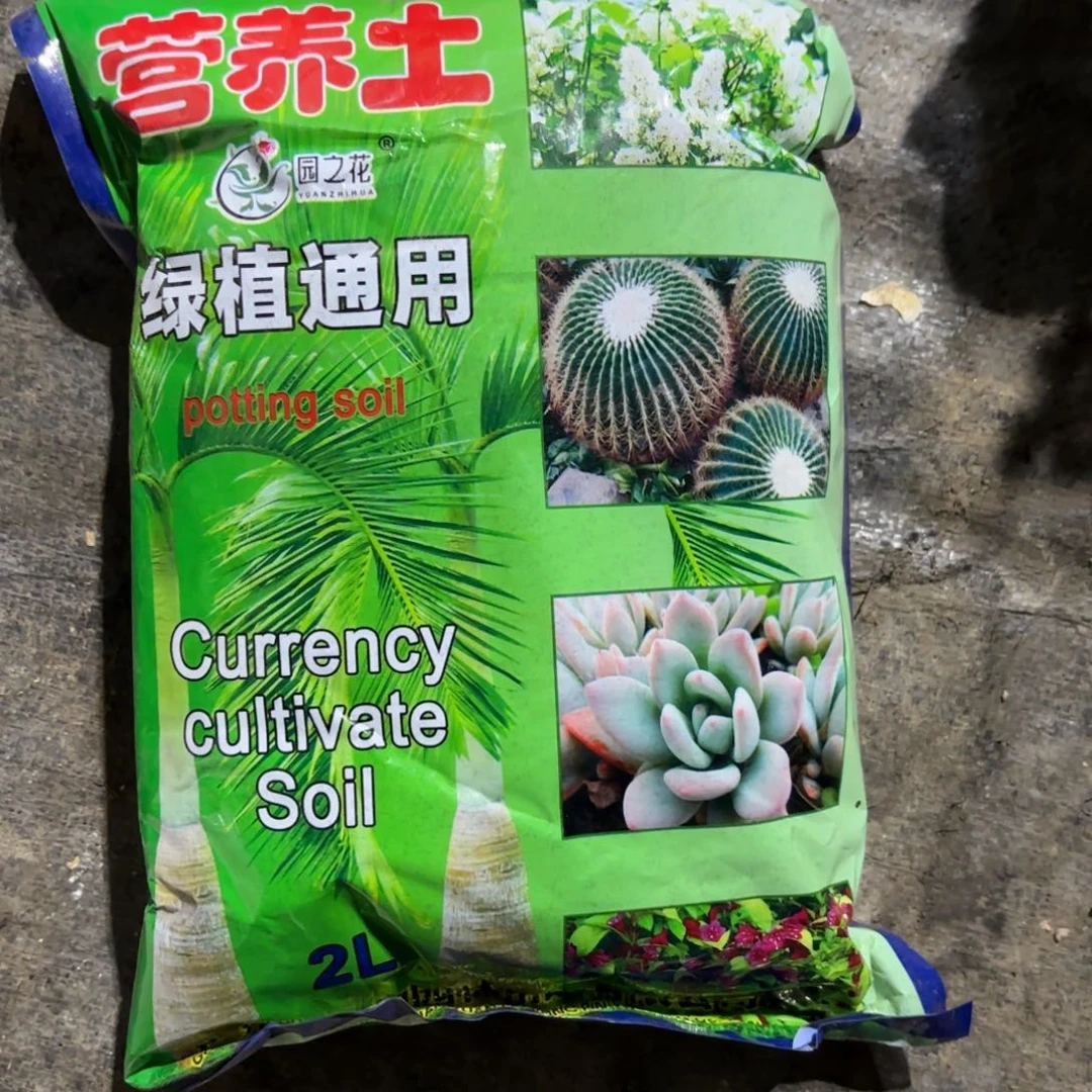 9.9营养土两包！！！！