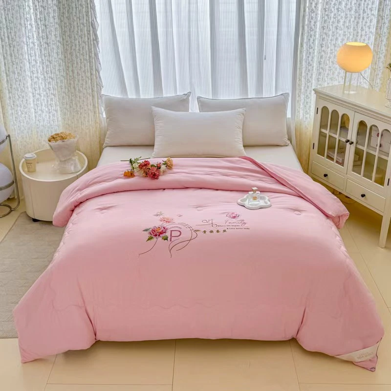 A类加厚蚕丝被被芯加厚保暖家用冬天棉被春秋被单双人宿舍被子-X