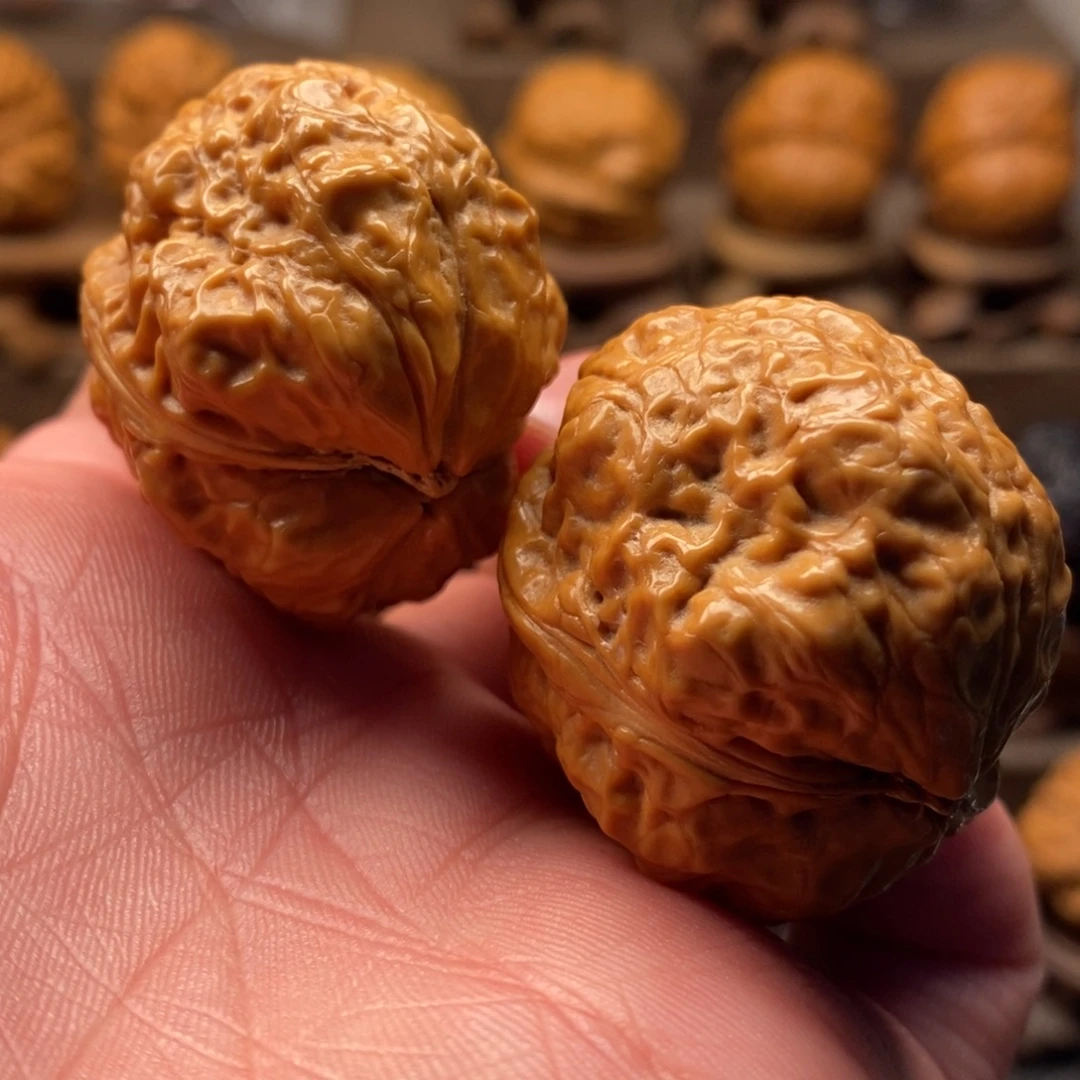 把件文玩核桃顶尊蟾王37尺寸