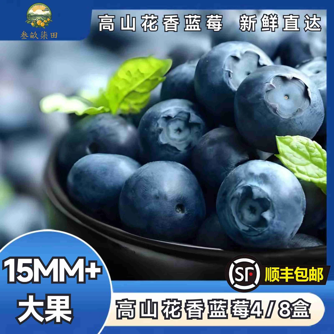 【顺丰空运】叁畝柒田 高山花香蓝莓