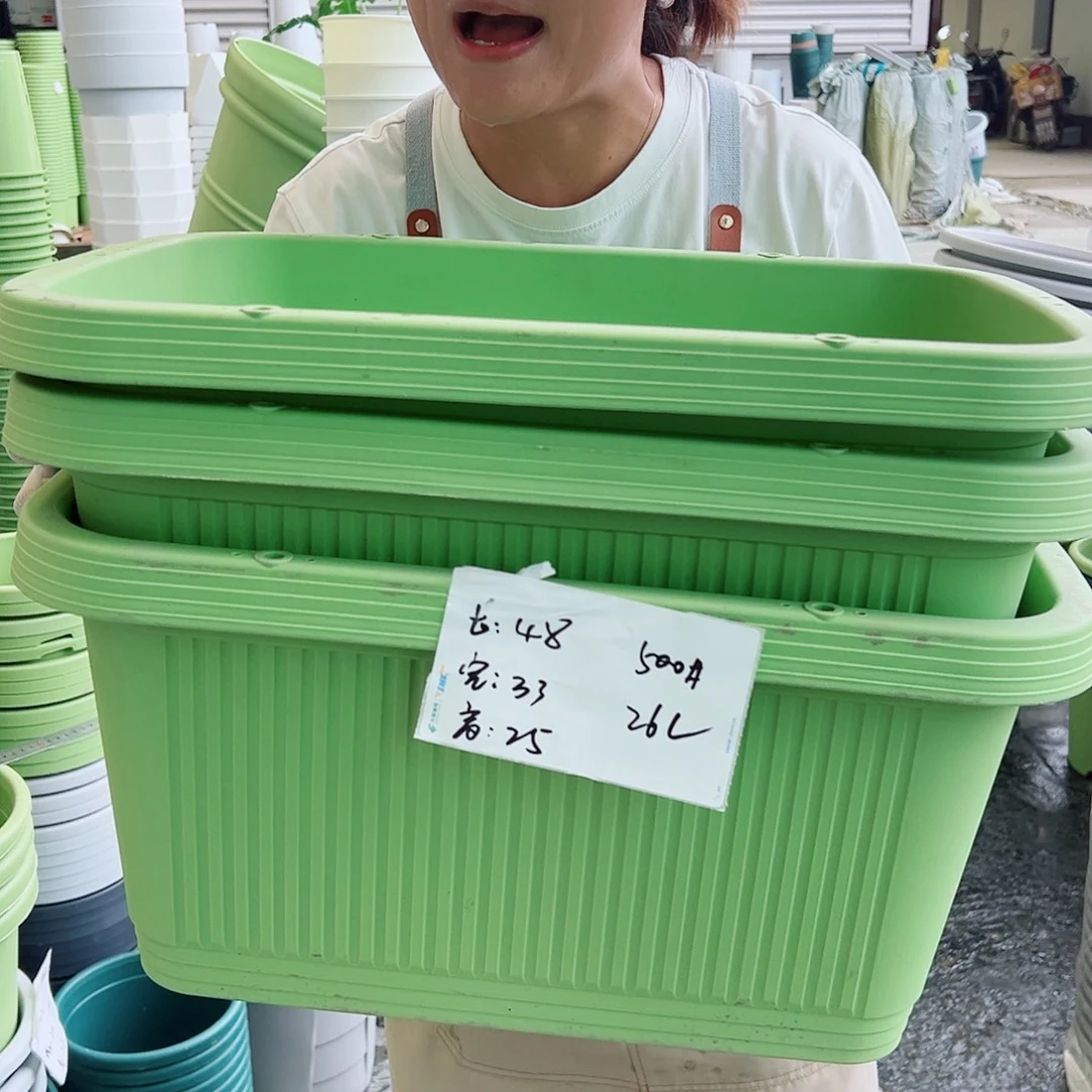 菜盆500#果绿色3个无托