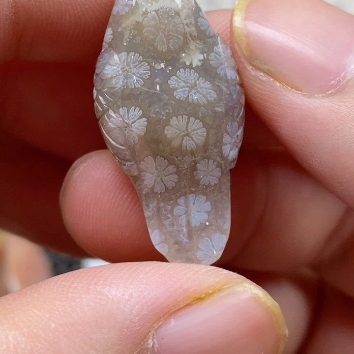 硅化珊瑚（珊瑚玉）未镶嵌颈饰