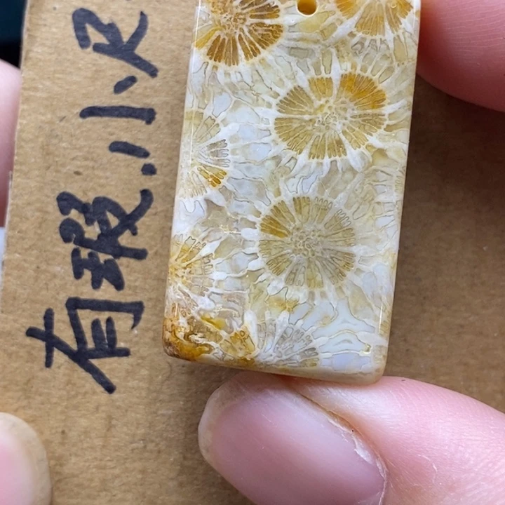 硅化珊瑚（珊瑚玉）未镶嵌颈饰