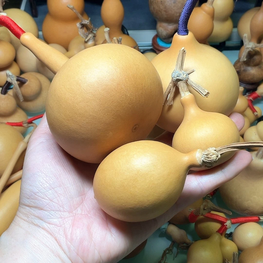 邗*厚皮响籽手把独霸