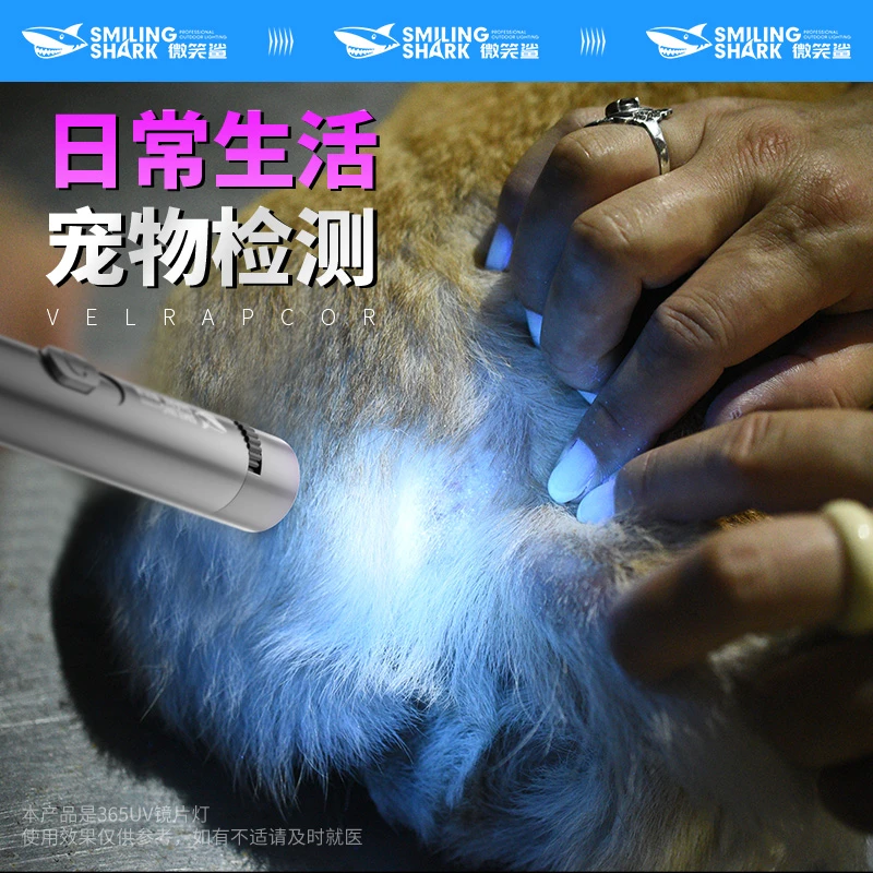 M微笑鲨猫藓灯照猫屎365NM紫光手电筒充电红外线激光逗猫笔