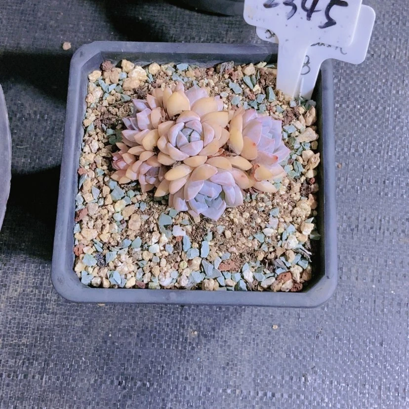 【闪购商品】N**r2345