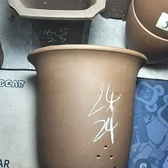 特大金钟一个花盆