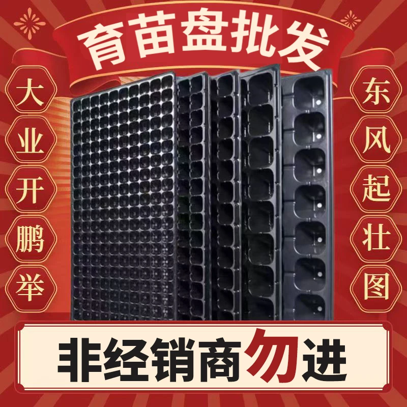 辣椒种植盘育苗超厚玉米高粱加厚育苗盘育苗盘穴盘草莓苗盆育秧盘