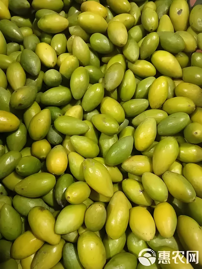 哆头螃蟹姐新出本地橄榄