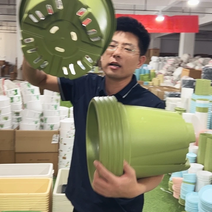 青山口32高28果绿无托5只