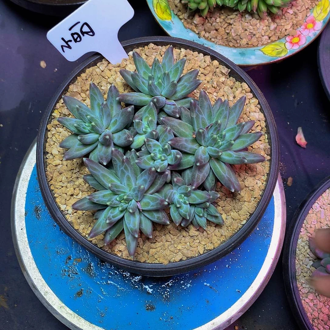 偶****哈哈哈哈哈哈哈