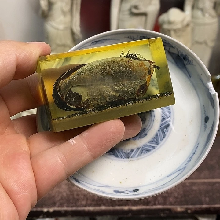 紫砂欢迎各位光临小店选购
