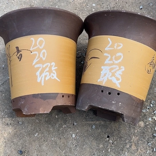 紫砂工艺厂……紫砂工艺厂……紫砂