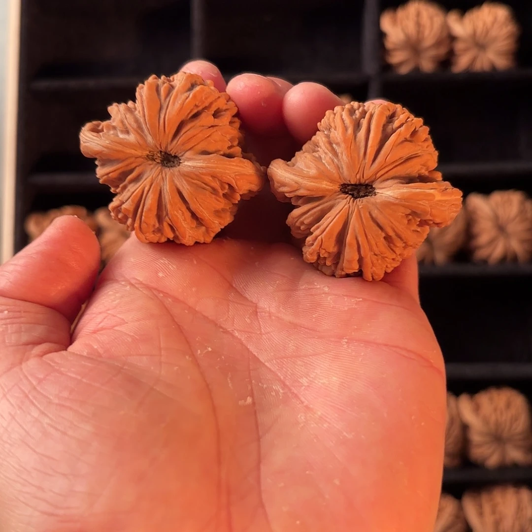 手串/手链核桃666666