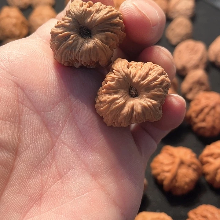 大叶紫檀（黑酸枝木类）J*