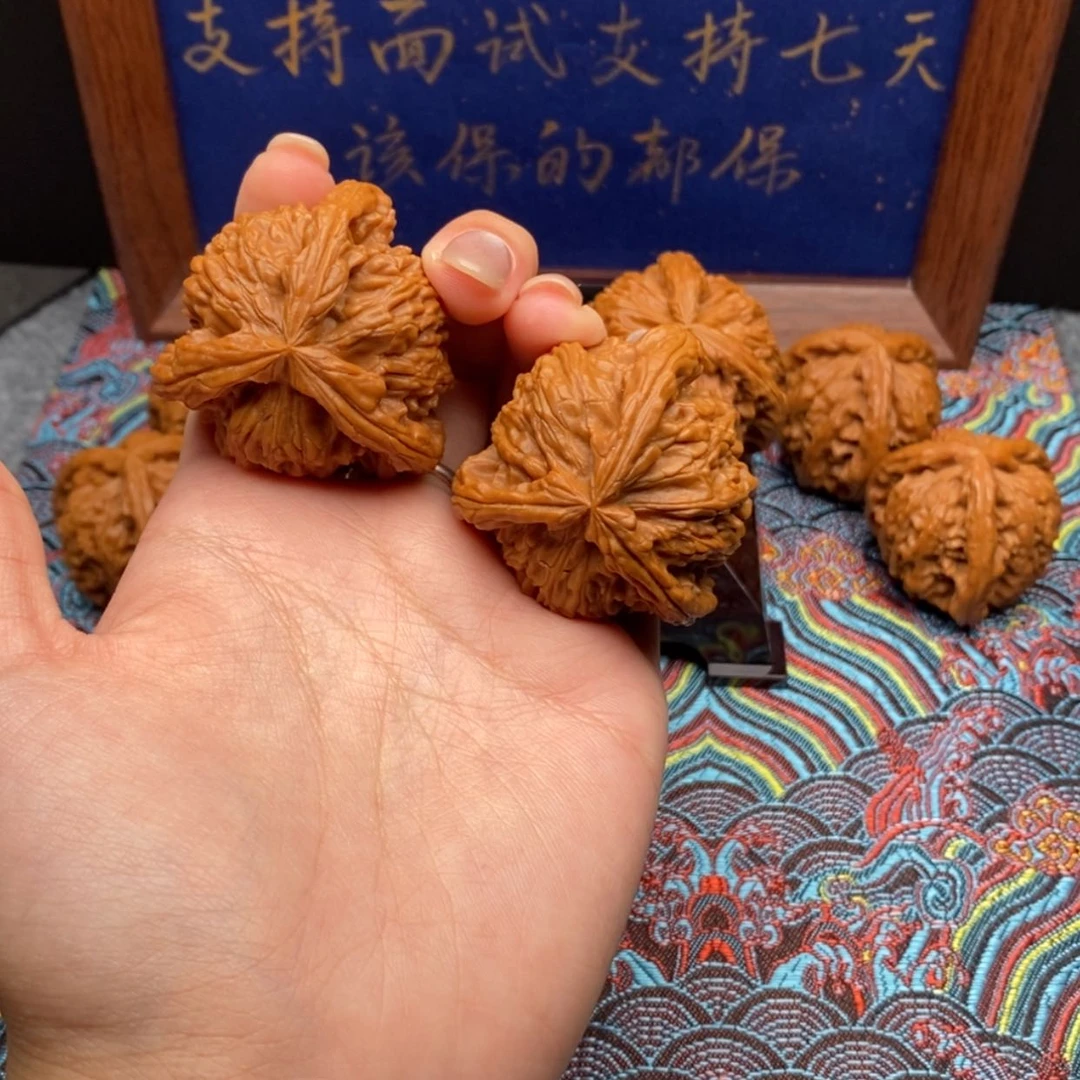 【闪购商品】小*?白狮