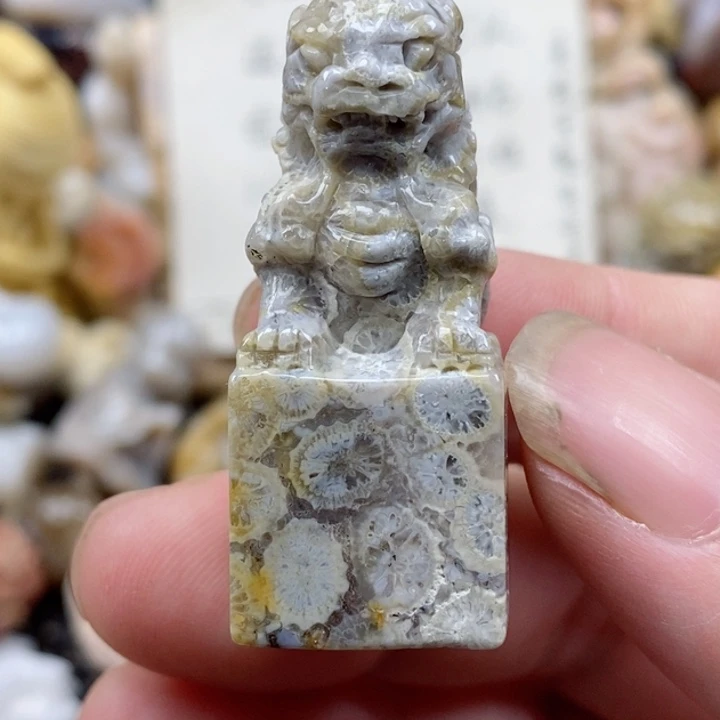 颈饰未镶嵌硅化珊瑚（珊瑚玉）有瑕