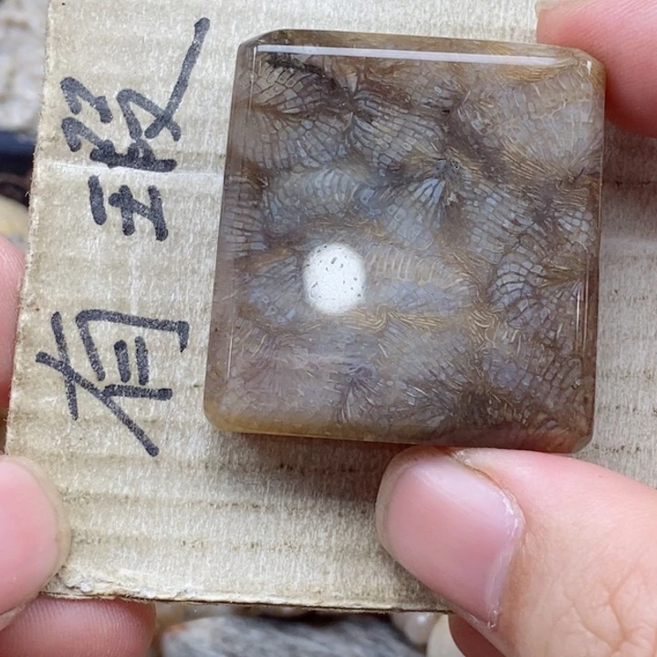 硅化珊瑚（珊瑚玉）未镶嵌颈饰s**i