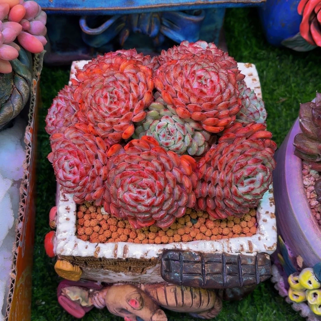 ?*Hhjkkbgfhnjgcghhnjjmk