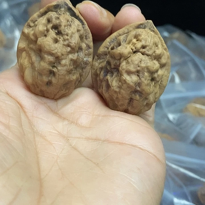 木质类云南铁核桃基地50