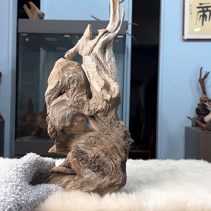 柏木柏**境我们的生活是以自己为