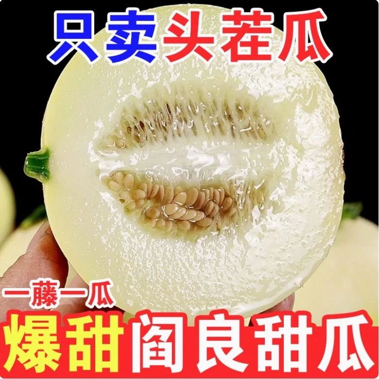 陕西头茬阎良甜瓜阎良蜜瓜应季水果香甜多汁3斤果王新鲜采摘