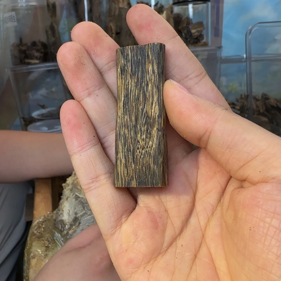 沉香沉香碎屑6.9克香脉55