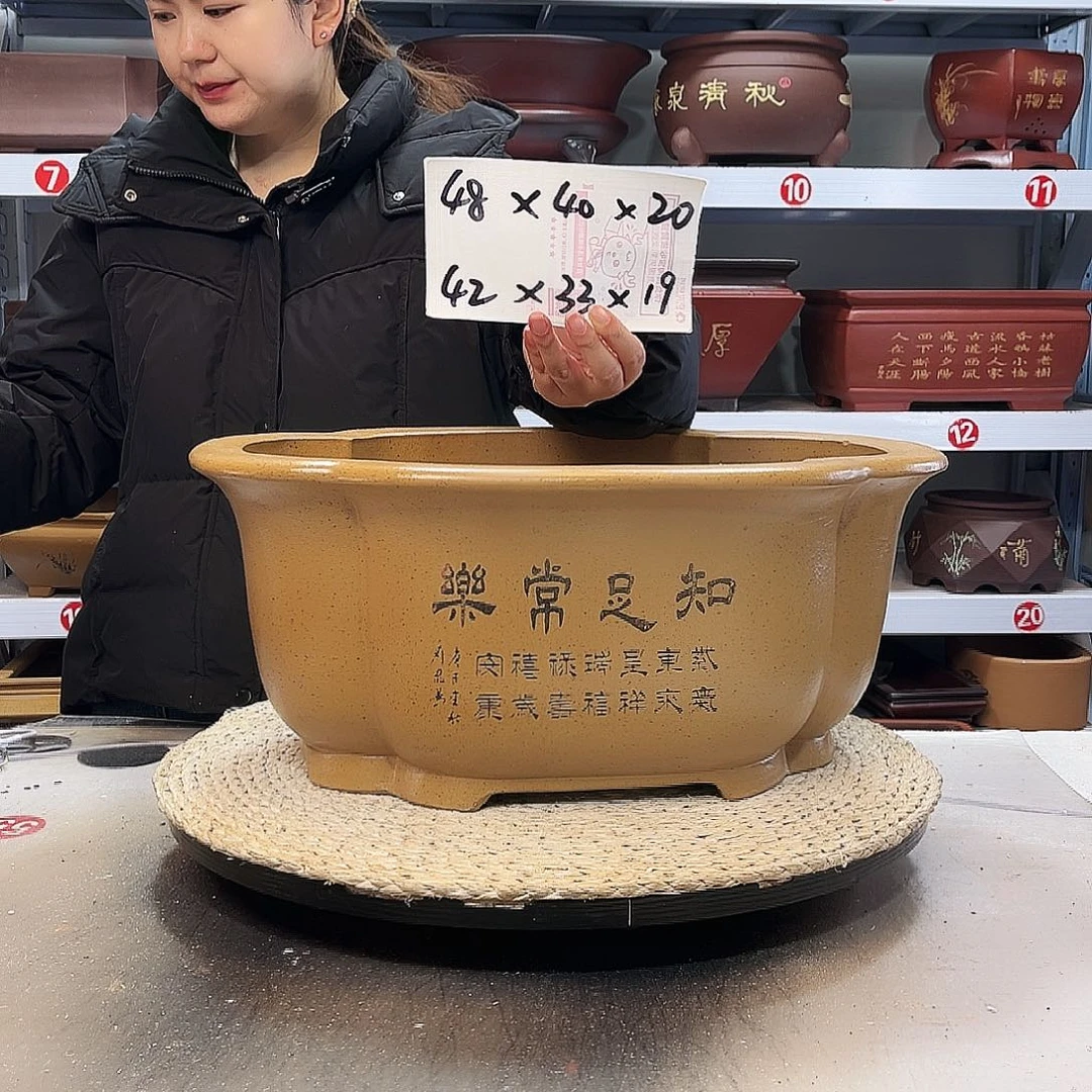 紫砂花盆紫砂花盆
