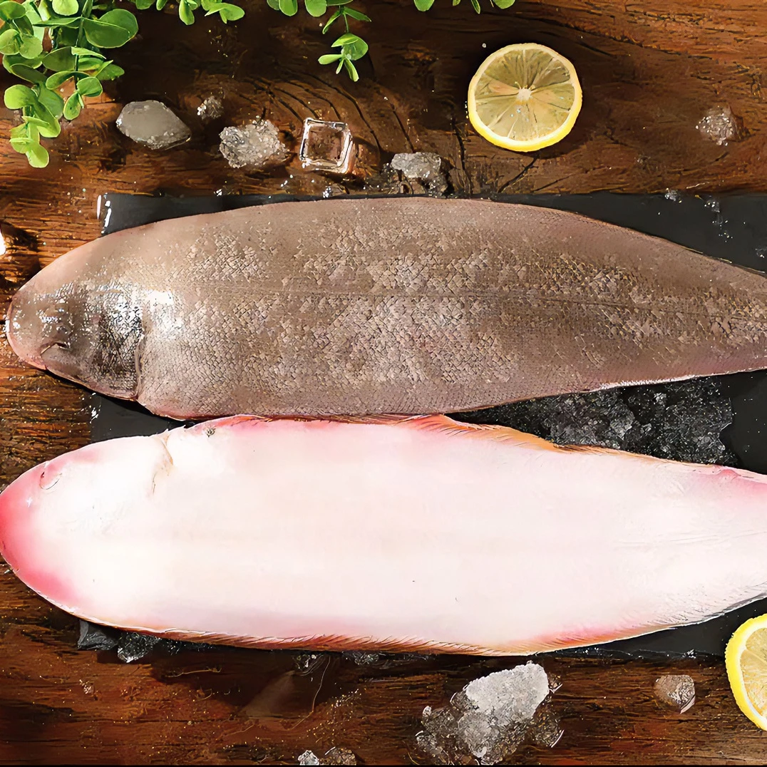 大规格野生龙利鱼 极速锁鲜发货 全国顺丰冷链包邮 2-3条/斤
