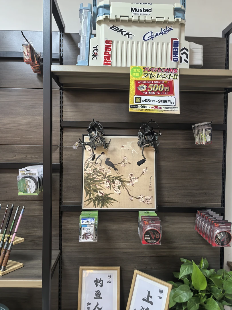 【阿福宠粉】老板专属福利【任性30秒】小物竿