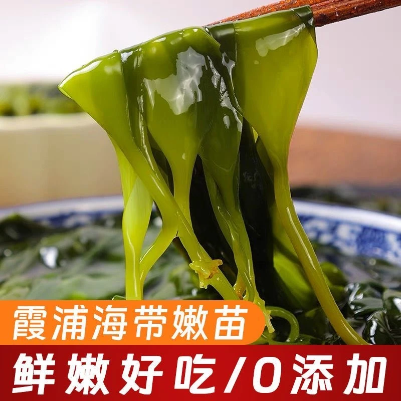 【精选当季嫩苗】霞浦盐渍海带苗鲜嫩脆爽可用于火锅专用煲汤食材
