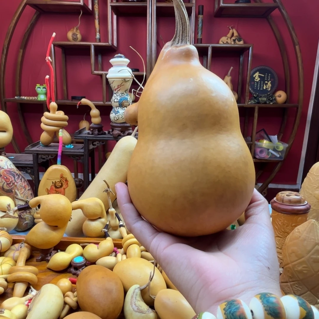 木***生三醋酯纤维笑嘻嘻谢谢谢谢谢谢