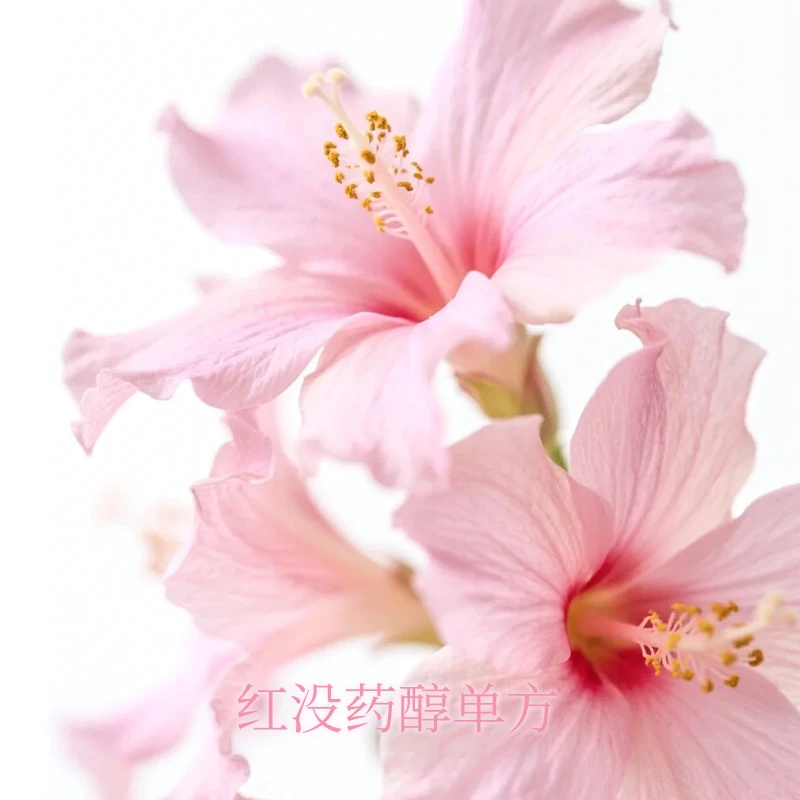 500ml红没药醇精油