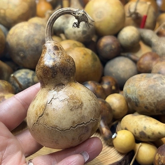 当*葫芦葫芦葫芦葫芦