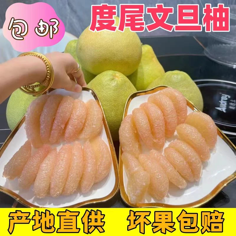 福建度尾文旦柚正宗老树红心白心新鲜当季孕妇水果