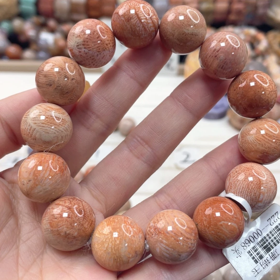 未镶嵌手链硅化珊瑚（珊瑚玉）…***^003