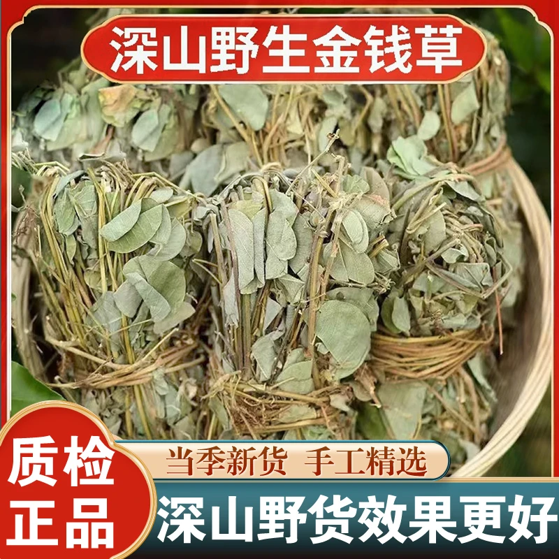 正宗广西金钱草中草药500g大叶新鲜干货泡茶煮水中药材整捆切可切
