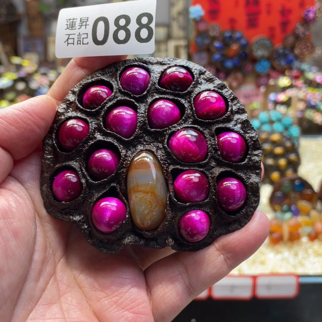 核桃木/黑胡桃（胡桃木）瑾*昱088