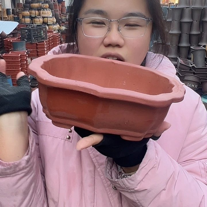 22红莲花花盆花盆花盆花盆