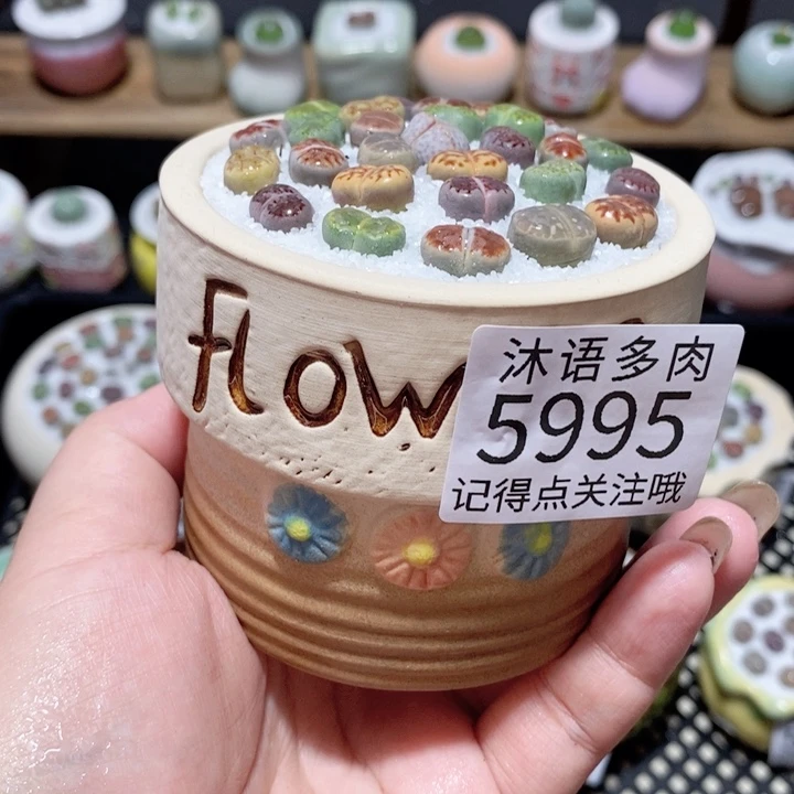 带盆土植物 一物一拍5995